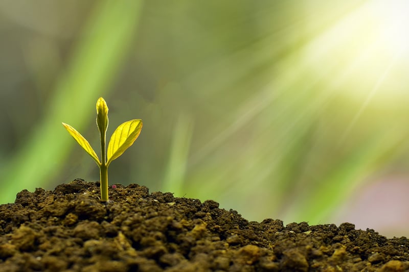 Sustainability